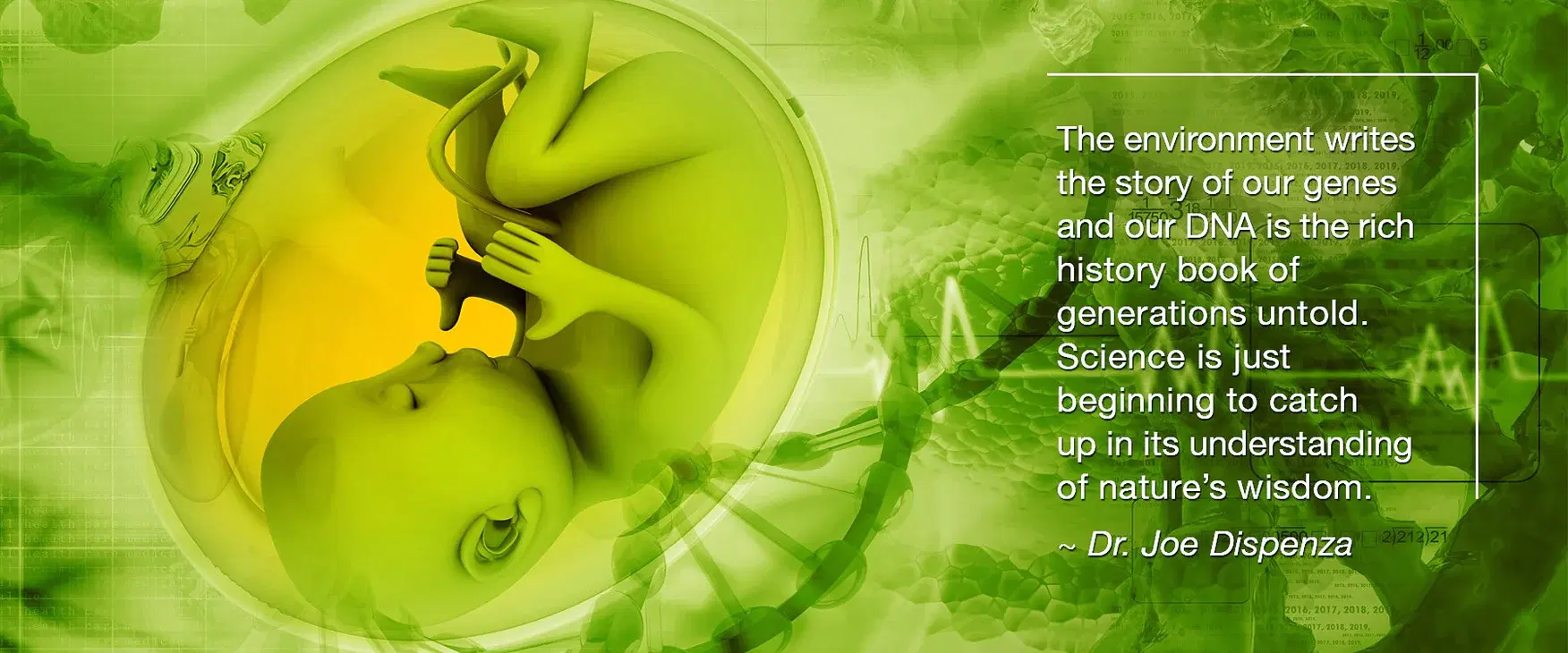 The Wisdom of Nature