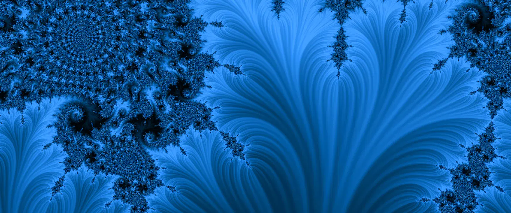 Jackson Pollock’s Journey Towards Fractals